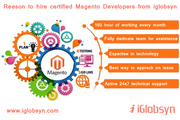 Hire an Magento Developer for your enterprise 